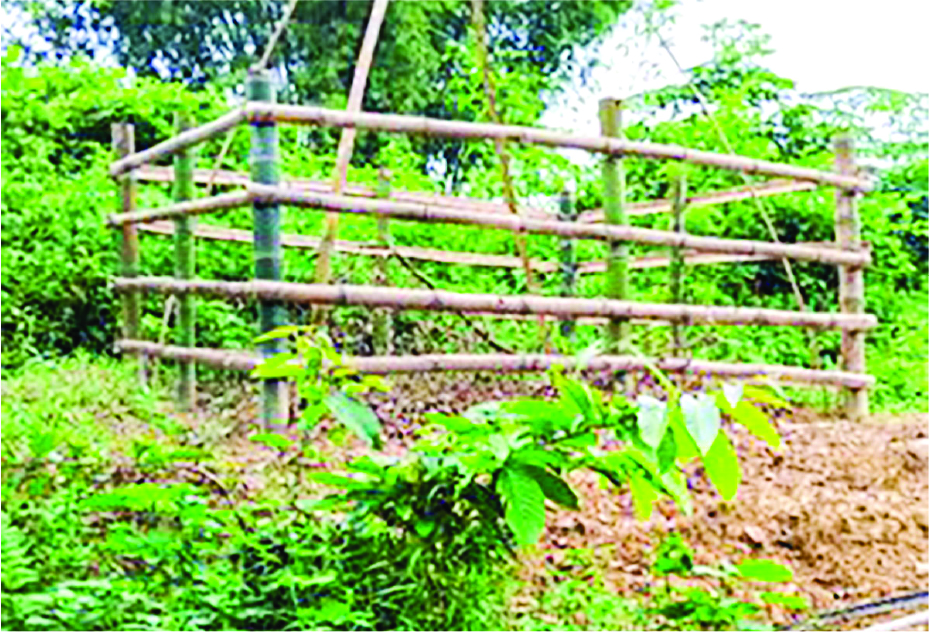 Image of মো: নাজমুল ইসলাম